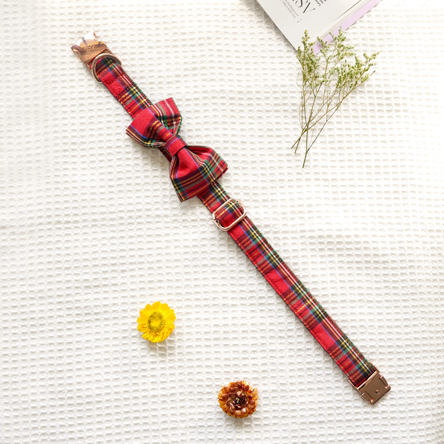Tunkoo dog collar Christmas plaid on dog red captures festive look during walks