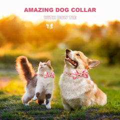 Tunkoo dog collar double-layer construction delivers durable wear