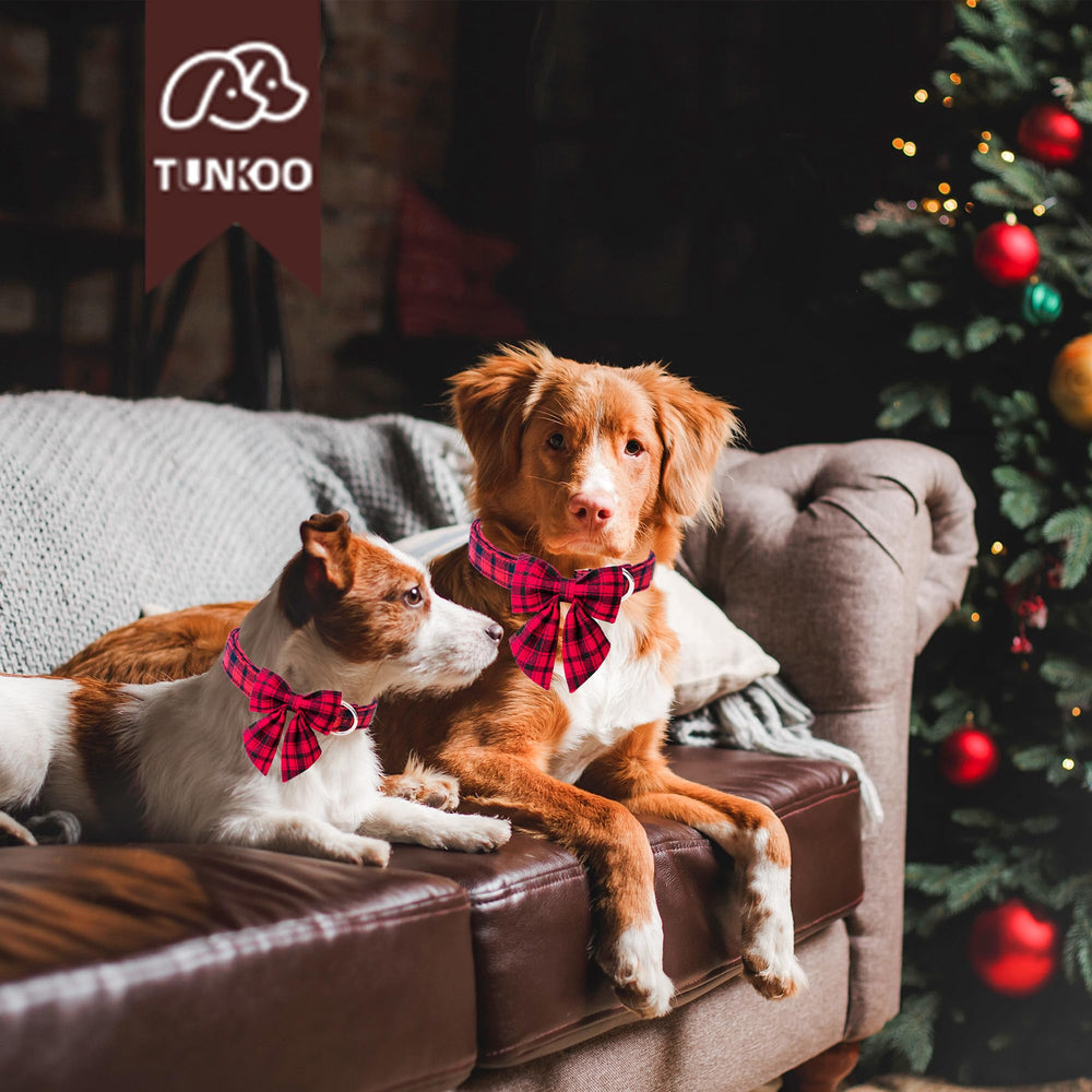 Tunkoo durable metal buckle dog collar highlights sturdy construction for daily walks.