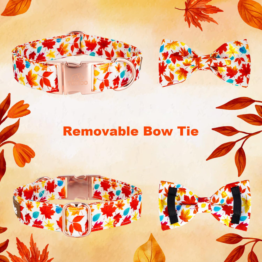 Tunkoo fall dog collar leaf pattern detail shows premium cotton outer and vivid print.