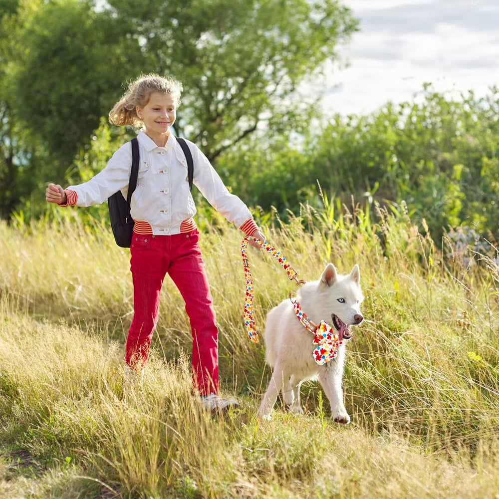 Tunkoo fall leaf pattern dog collar adds seasonal charm for memorable autumn outings.
