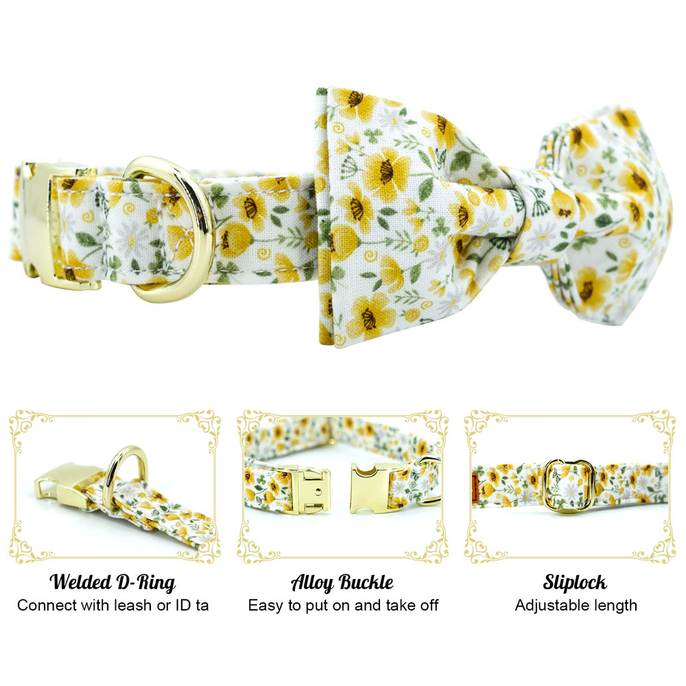 Tunkoo floral collar on a dog at a wedding-ready look for celebrations