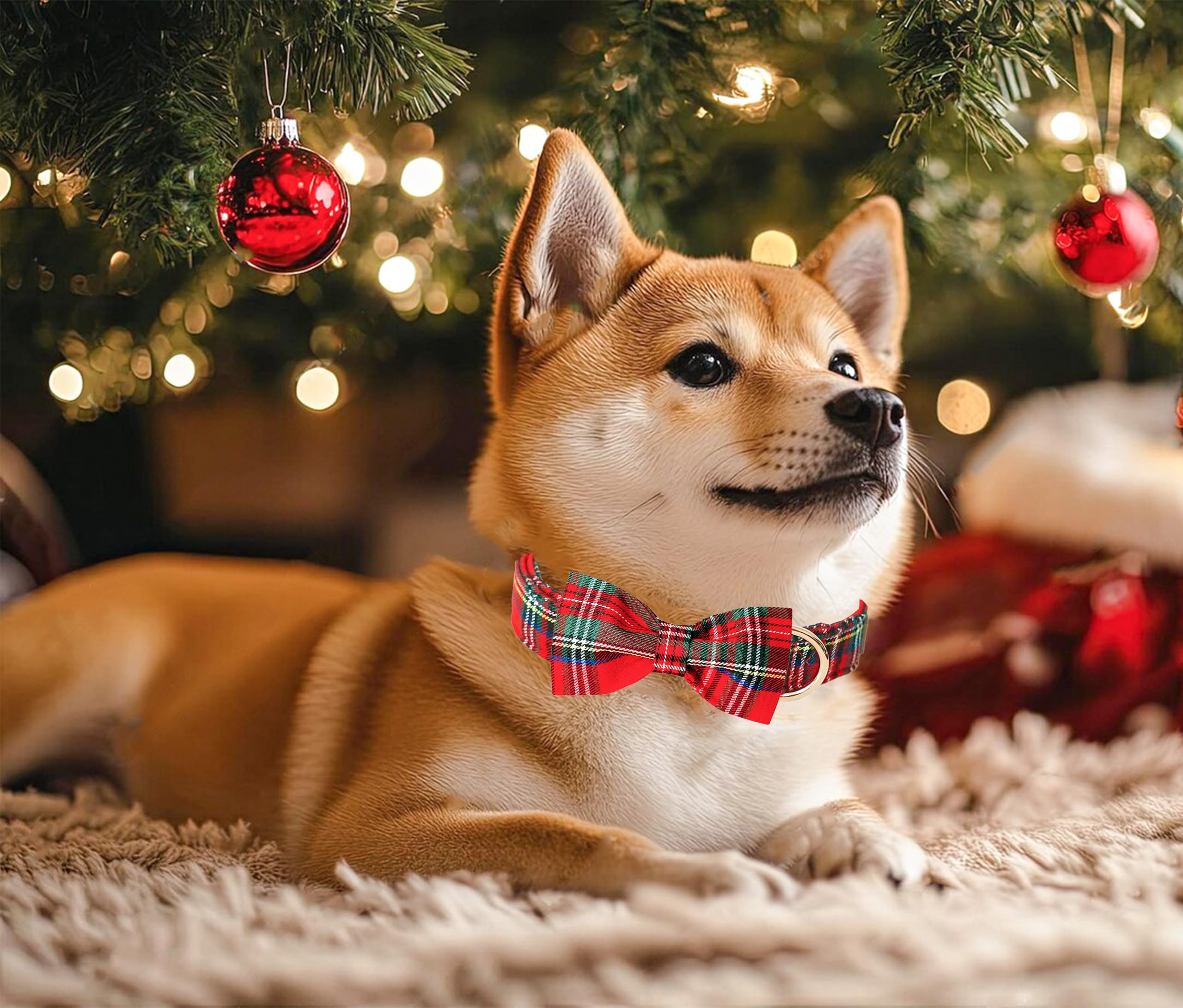 Tunkoo medium size plaid collar suitable for Corgis and Shibas.
