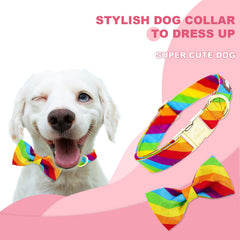 Tunkoo rainbow dog collar buckle closeup shows secure metal closure for confident walks.