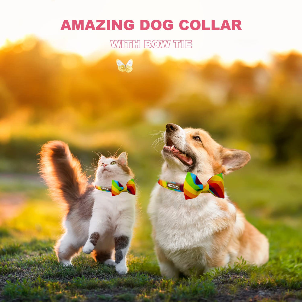 Tunkoo rainbow-dog-collar-colorful-pattern highlights eye-catching design during outings.