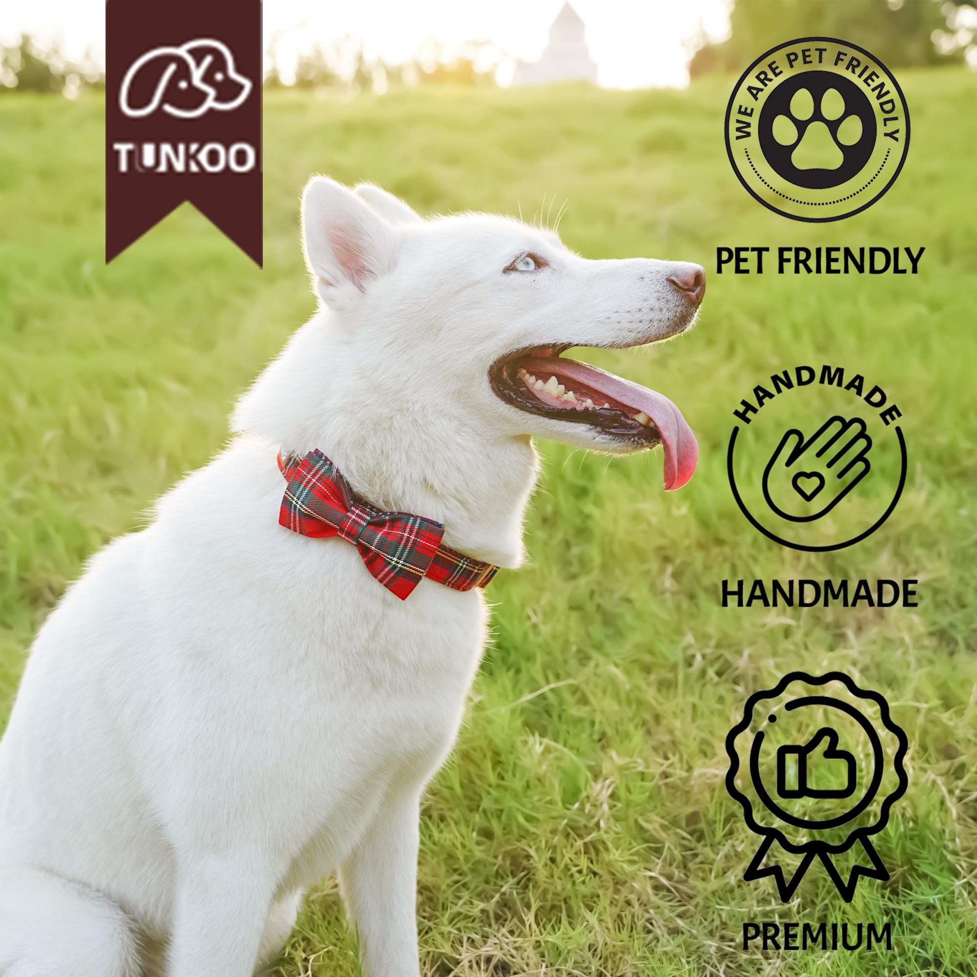 Tunkoo small size plaid collar designed for tiny breeds like Yorkies.
