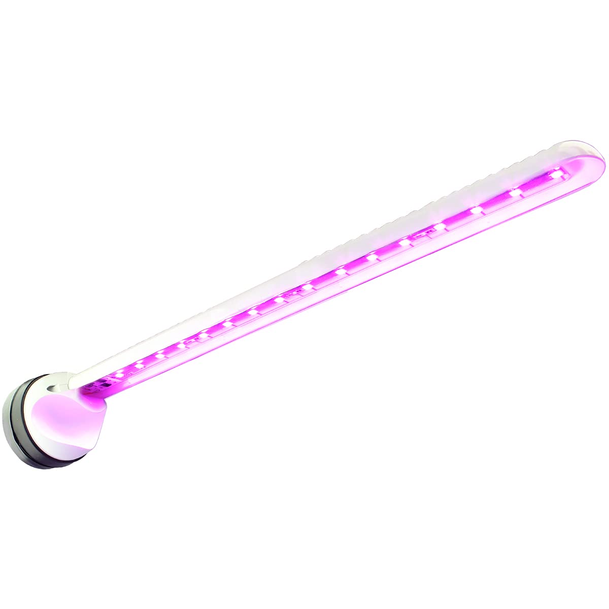 Tunze Eco Chic Refugium 8831 flow-path demonstrates balanced water movement.
