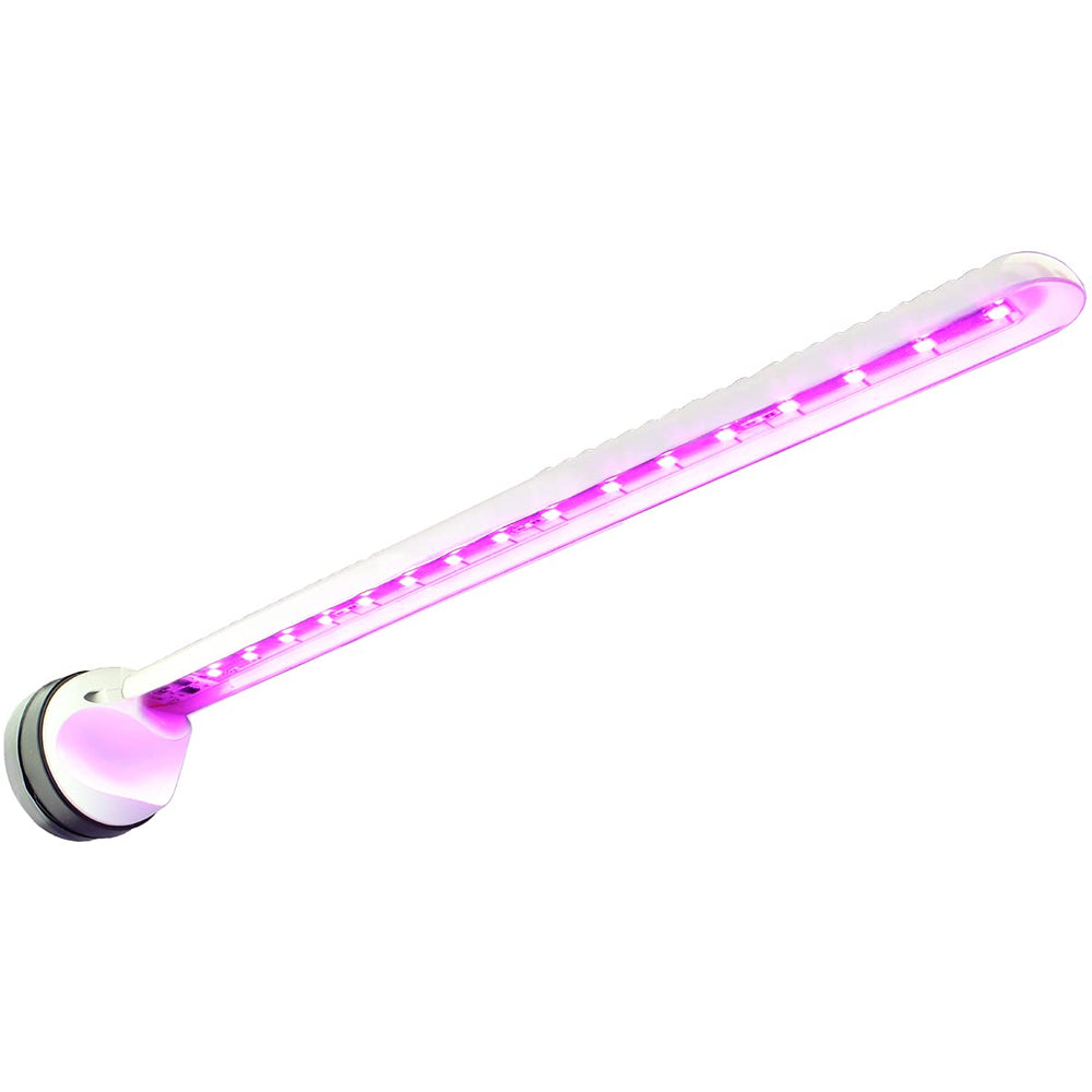 Tunze Eco Chic Refugium 8831 flow-path demonstrates balanced water movement.