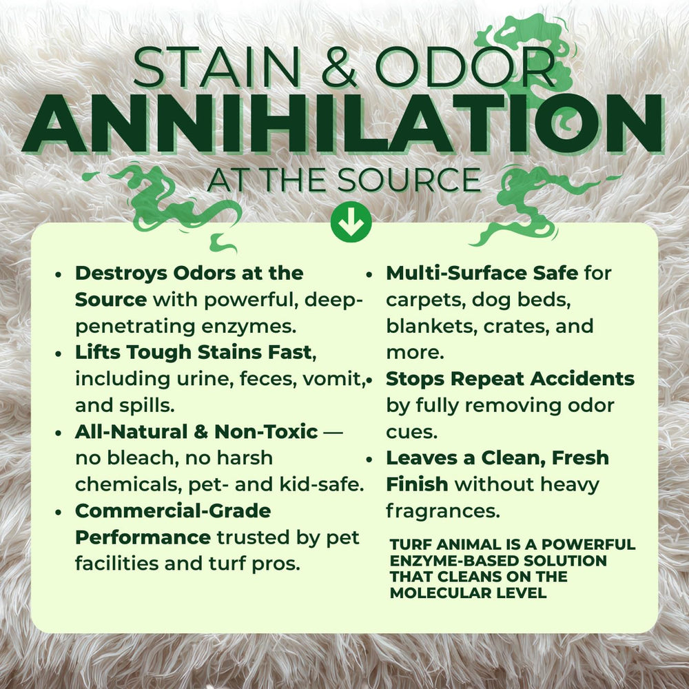 Turf Animal INDOOR carpet-spot highlights enzyme-powered stain removal at the source.