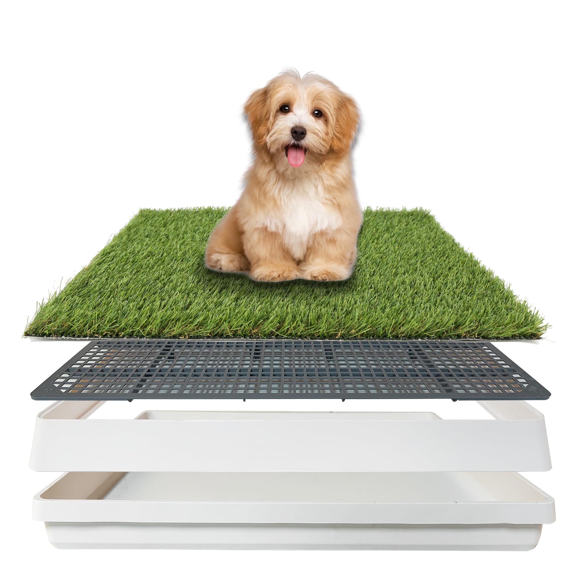TURF XPRESS dog grass pad with tray indoors for mess-free puppy potty training