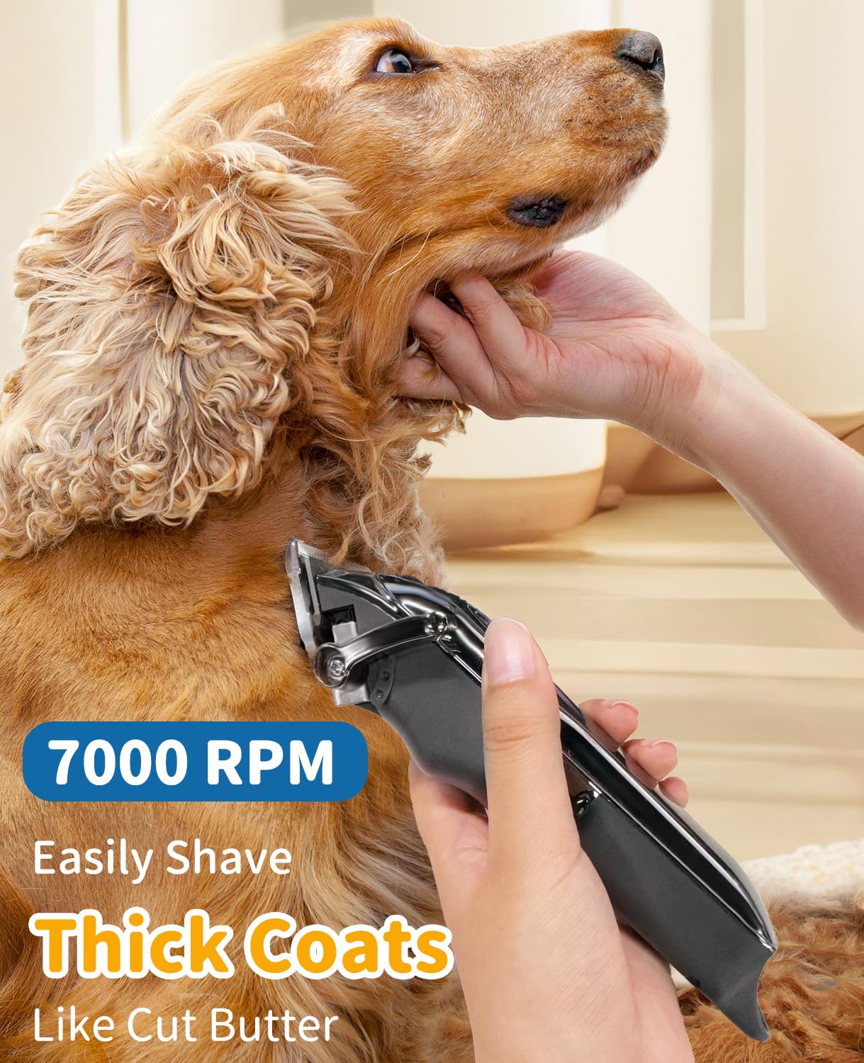 Turn Raise washable ceramic blade-compatible unit for easy post-grooming cleanup.