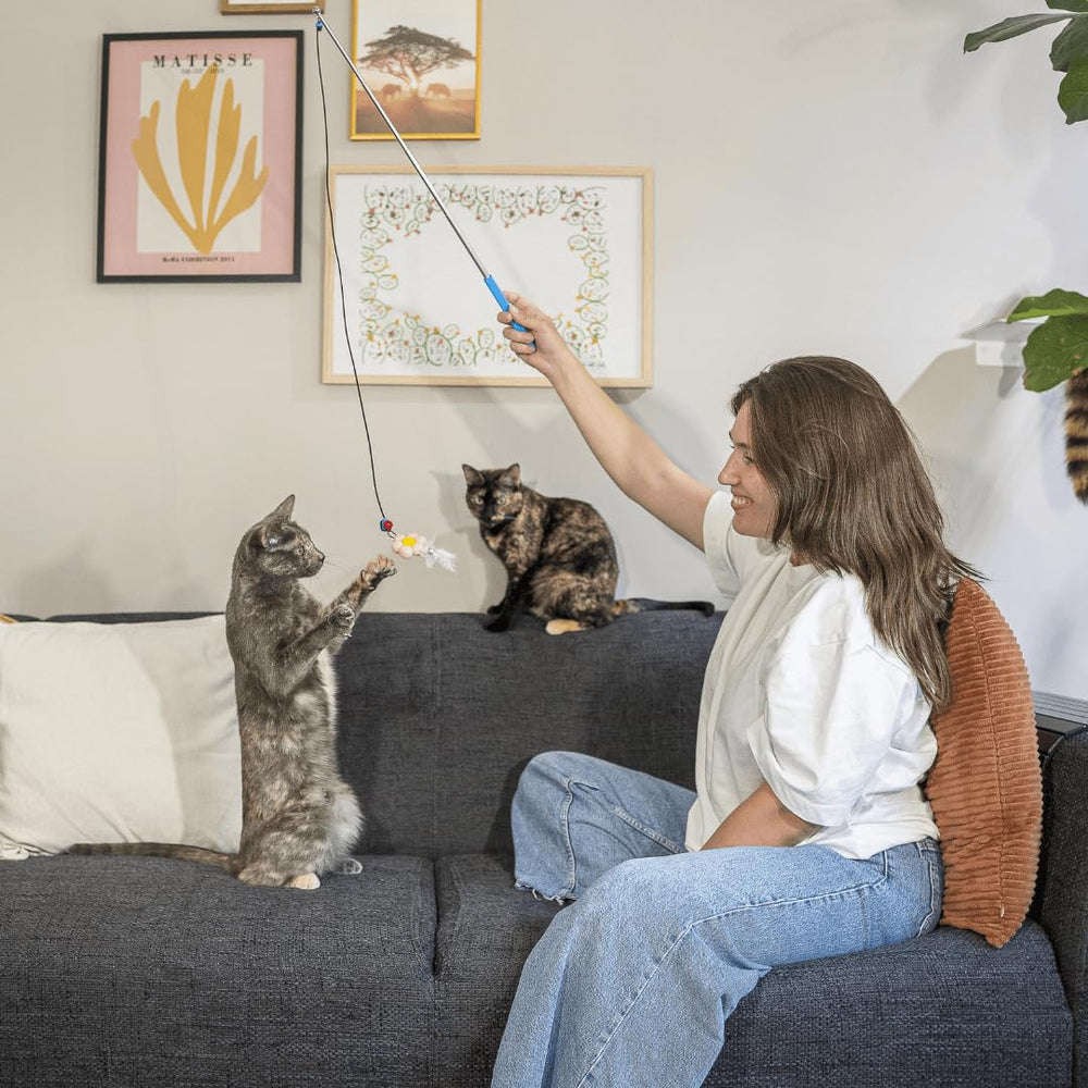 Turnipet Magnetic Catch Wand gift-ready packaging for cat lovers.