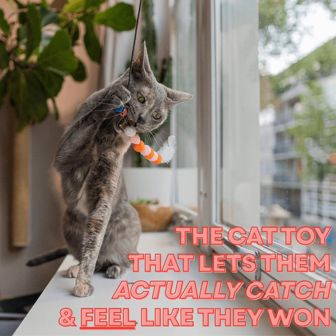 Turnipet Cat toy with 3 interchangeable lures boosts enrichment.