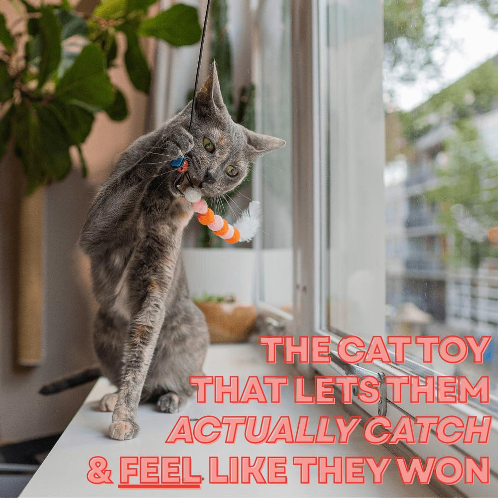 Turnipet Cat toy with 3 interchangeable lures boosts enrichment.