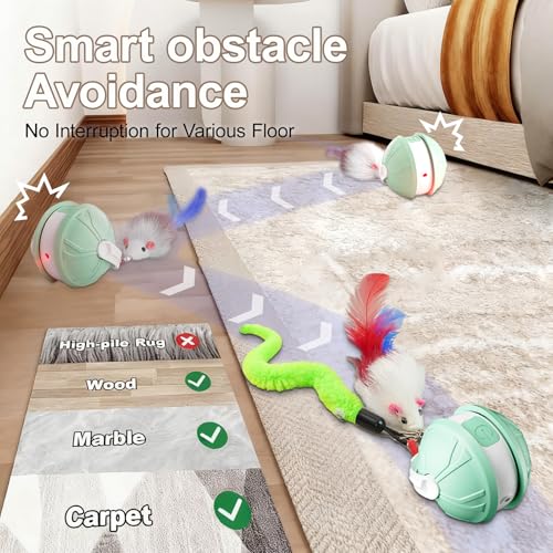 TVM Interactive Cat Toy Ball rolling on carpet demonstrates all-terrain fun.