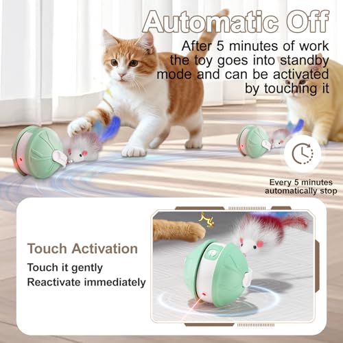 TVM Interactive Cat Toy Ball top view shows USB charging for easy recharges.