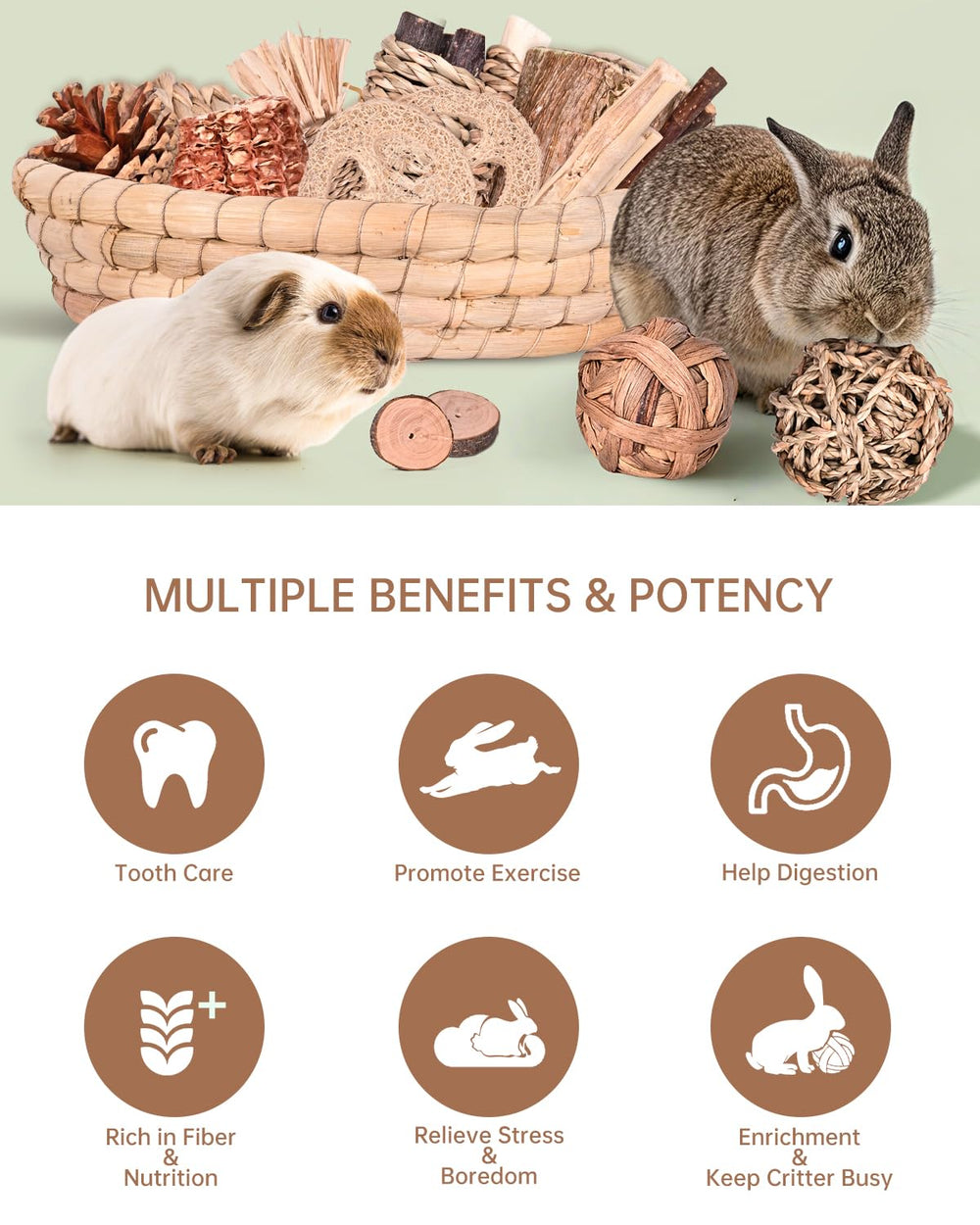 Twilumin apple wood blocks promote healthy chewing for small pets