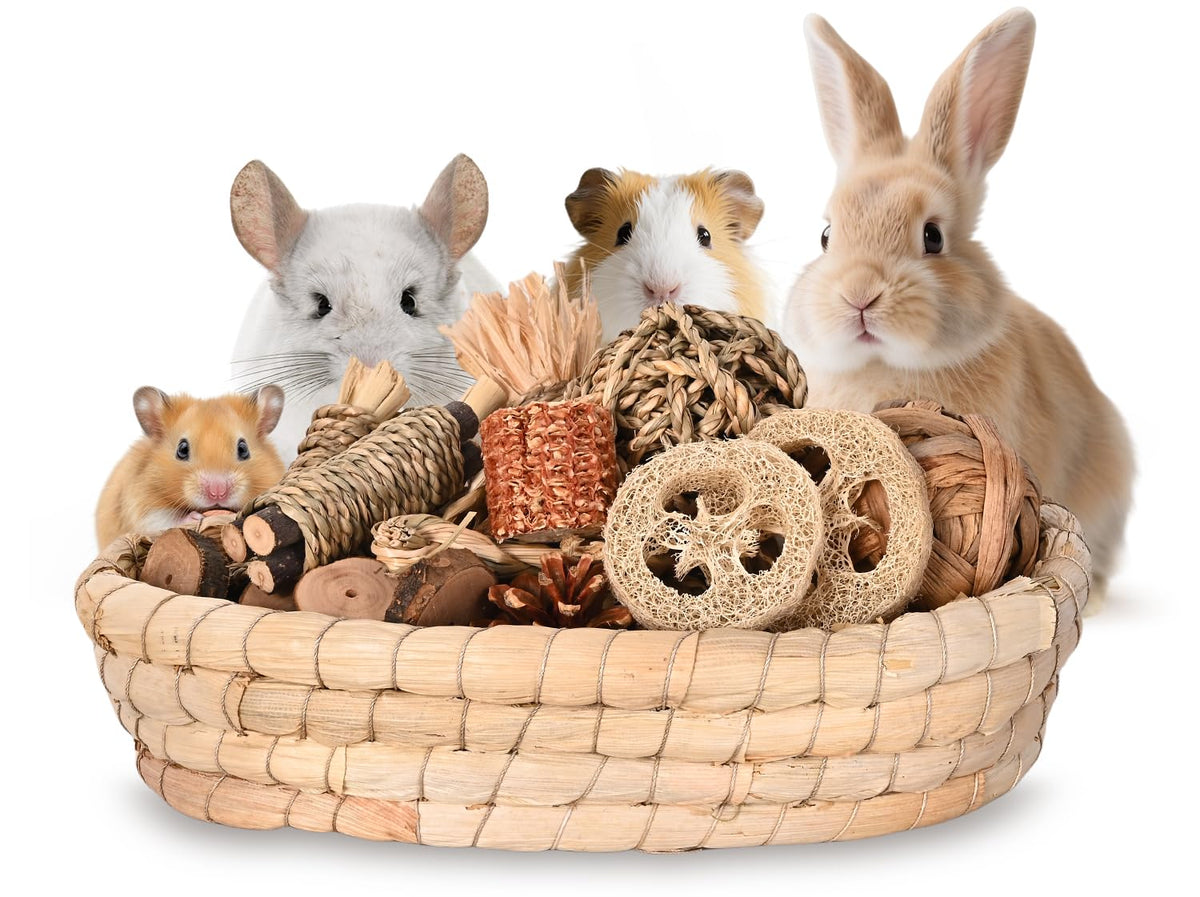 Twilumin 31Pcs Rabbit Chew Toys packaging shows natural enrichment materials for safe chewing