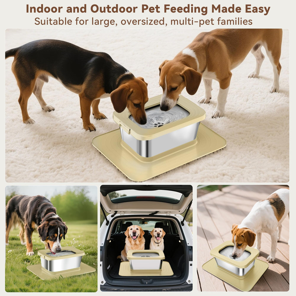 Twinsing multi-dog setup reduces spills during shared water breaks.