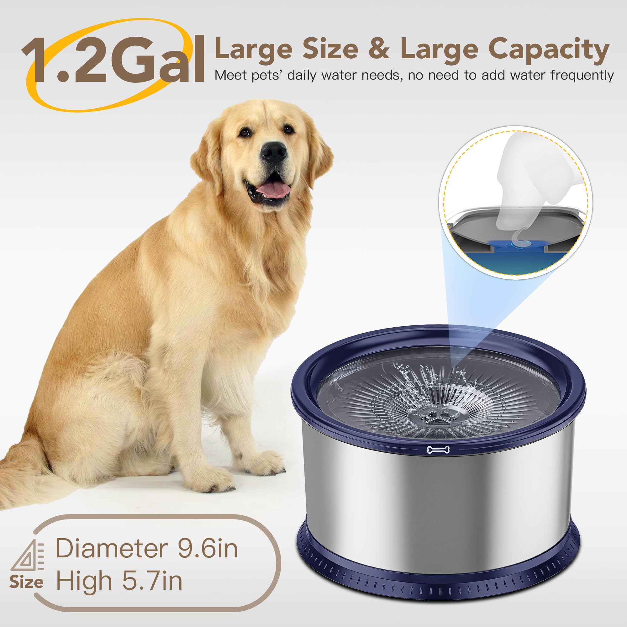 Twinsing blue stainless-steel dog bowl offers durable, easy-to-clean design.