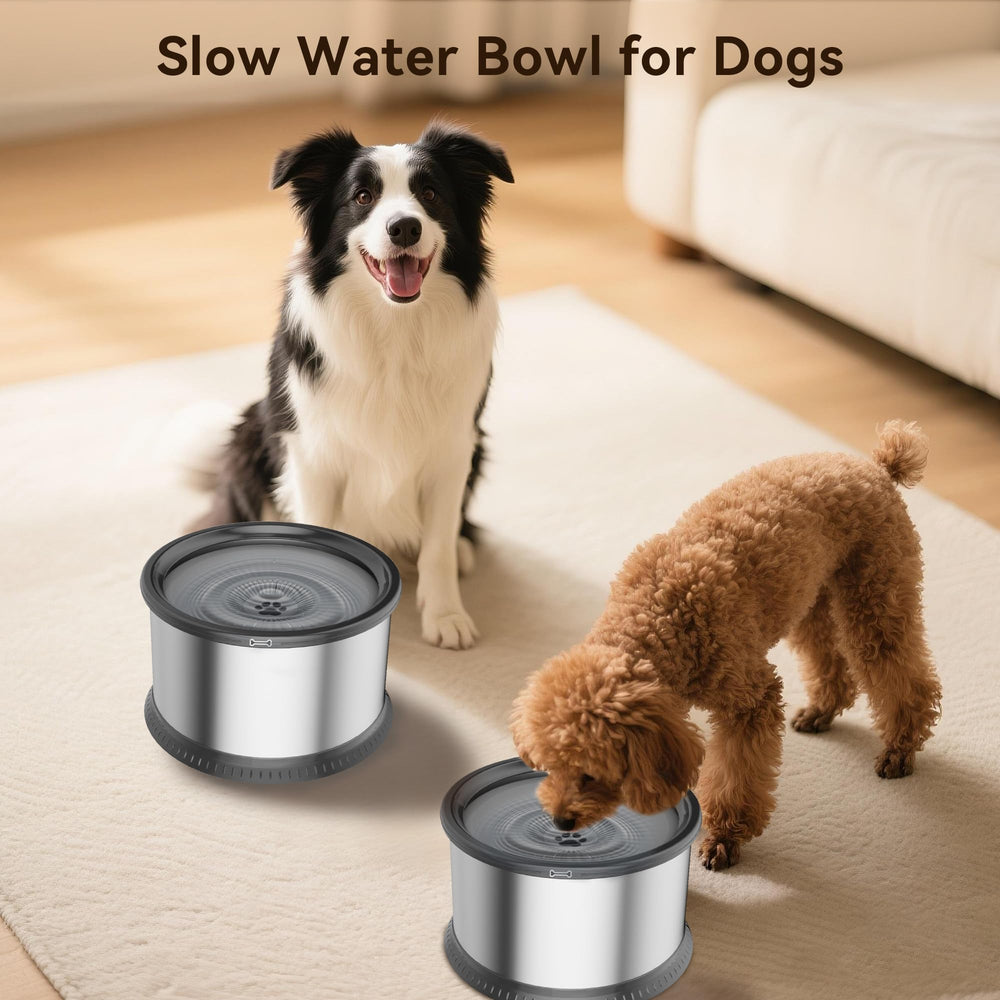 Twinsing two-bowl set ready for multiple pets and shared water.
