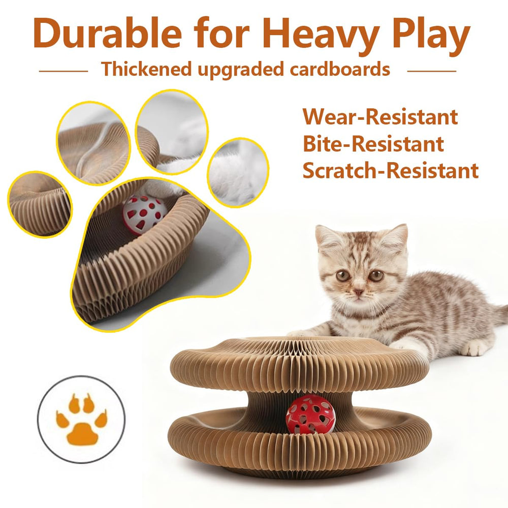 TWISTY PAWS enclosed bell ball keeps play safe and contained.