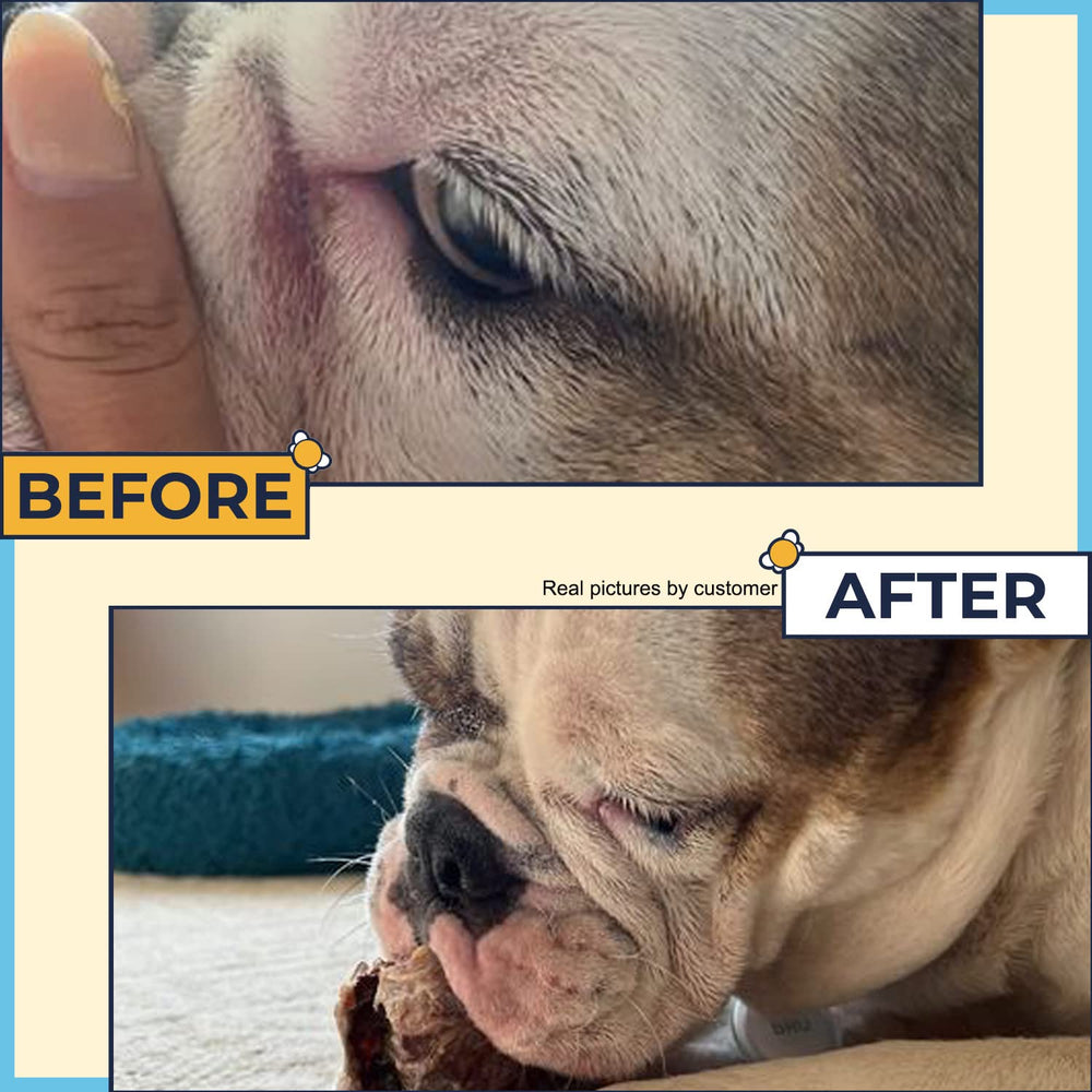 Two Pets and a Half dry skin paw care for dogs.
