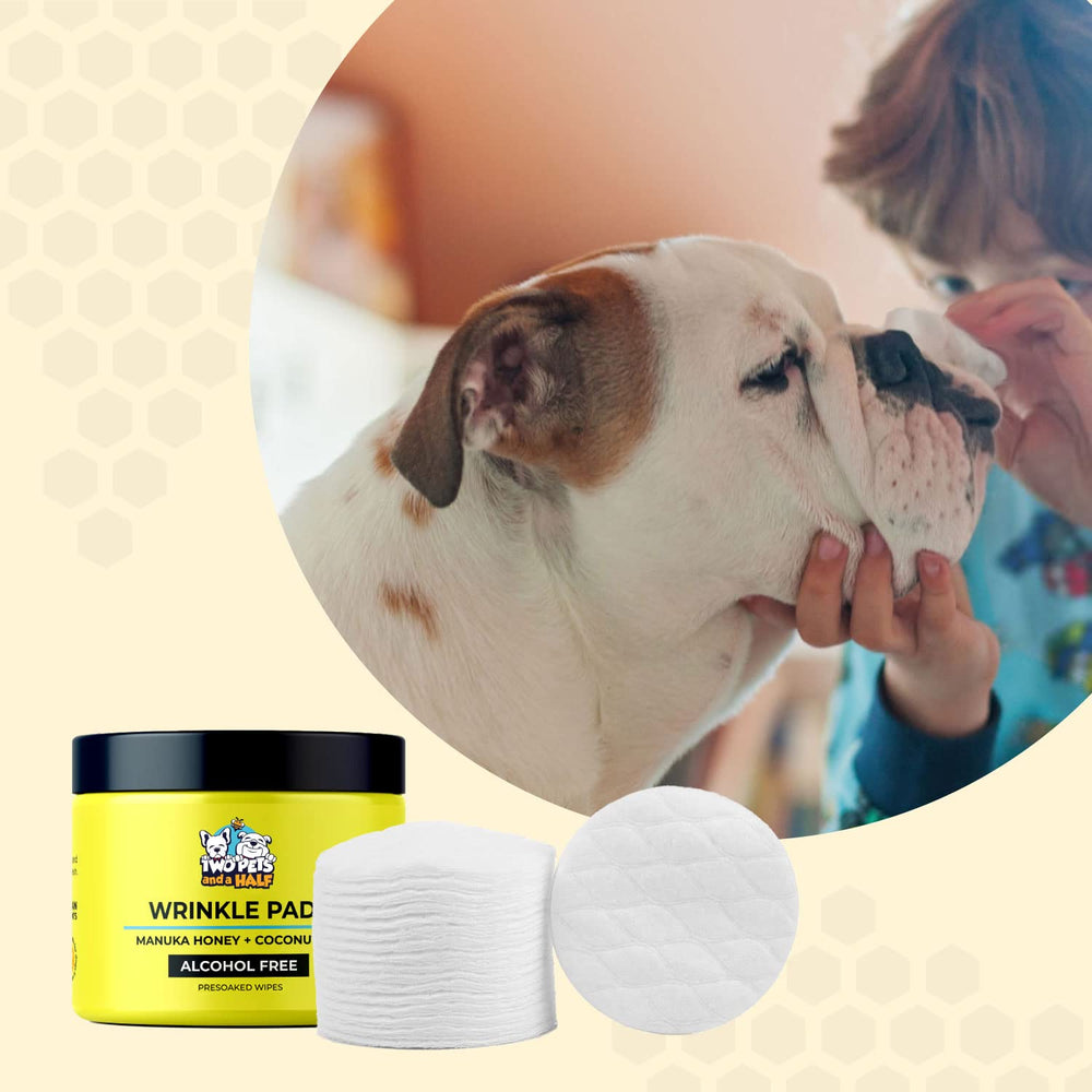 Two Pets and a Half wrinkle-care cream application on bulldog facial folds.