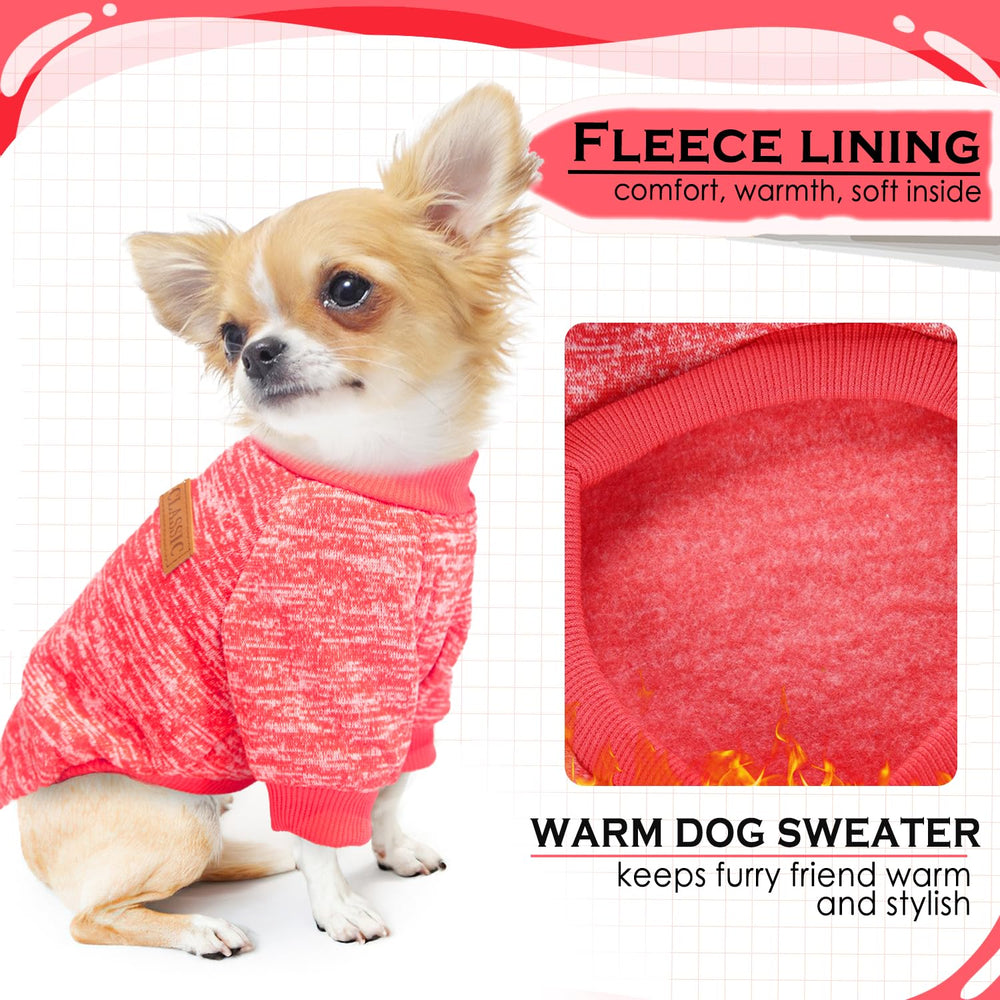Two-piece dog sweater set on dog-walk demonstrates comfortable movement in cold weather.