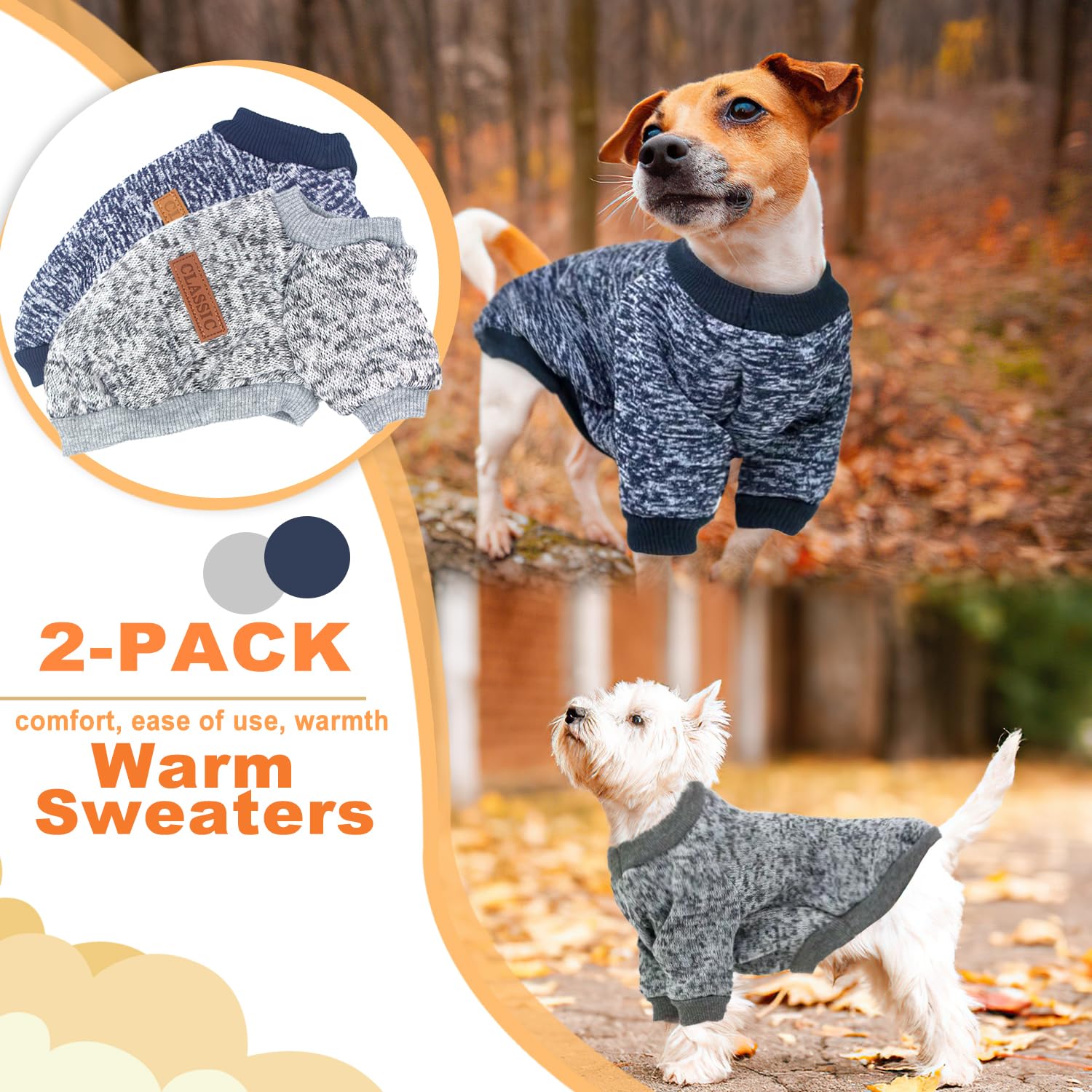 Two-pieces dog sweaters on a small dog during a walk illustrate warmth.