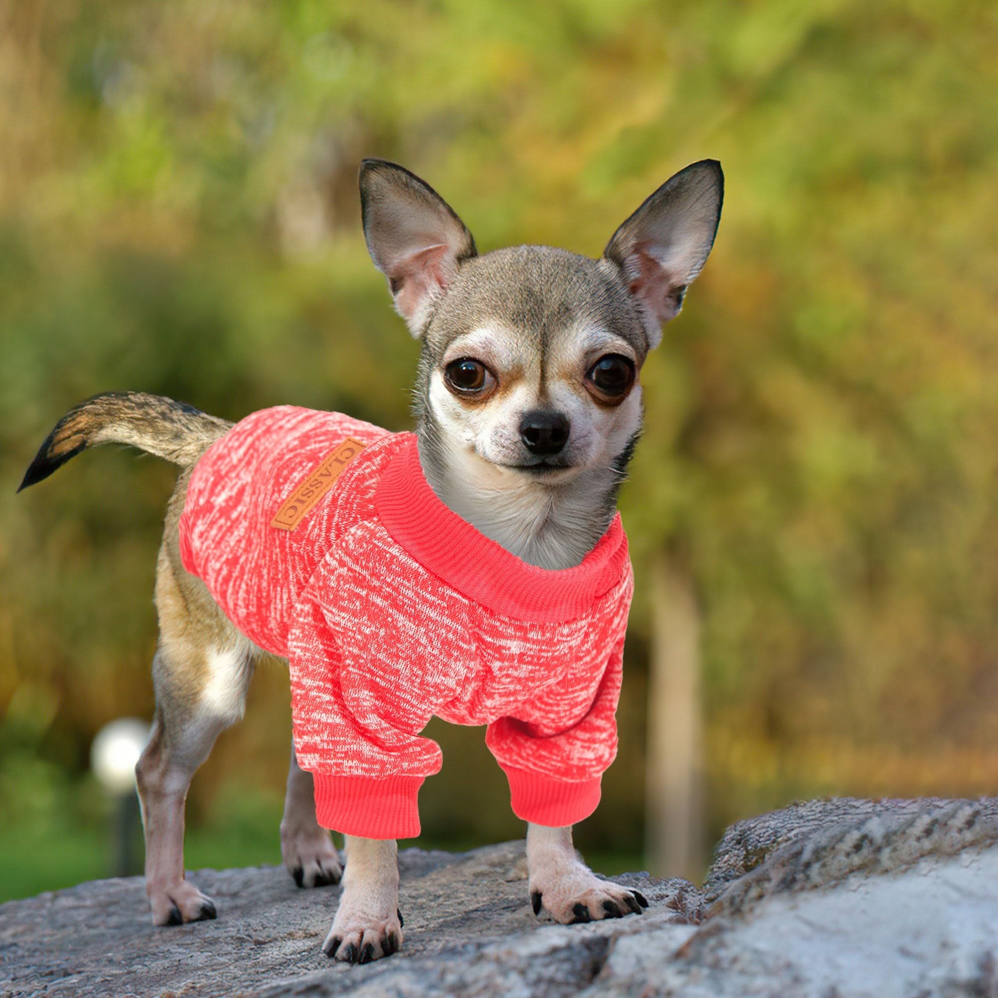 Colorful pattern options on small-dog sweaters