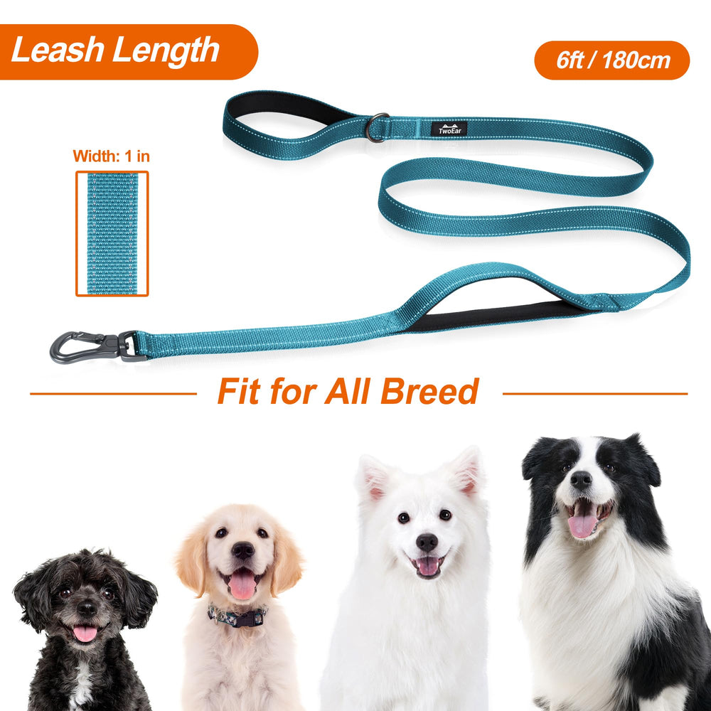 TwoEar blue leash ready for daily walks and light training sessions