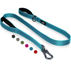 TwoEar 6FT blue dog leash with padded handles for comfortable walks