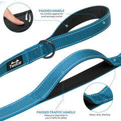 TwoEar blue leash with reflective night features for visibility at night