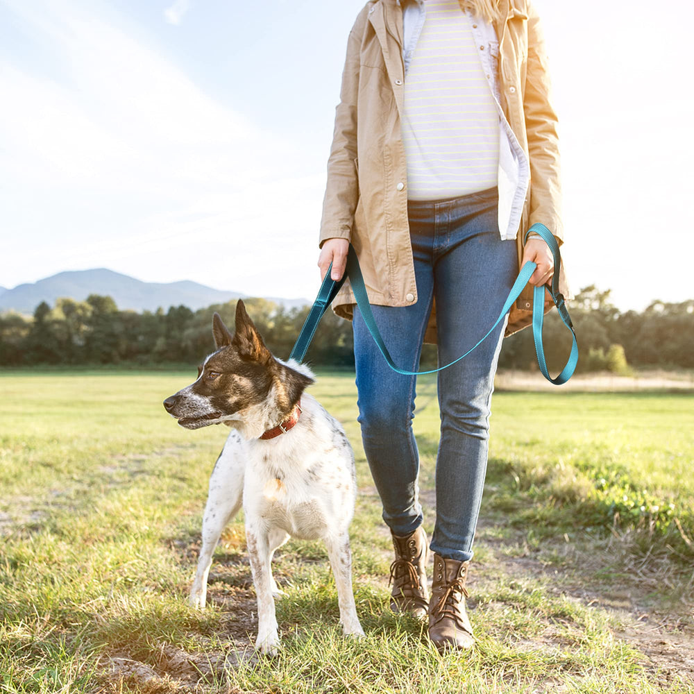 TwoEar blue leash ideal for urban walks with safety and control features