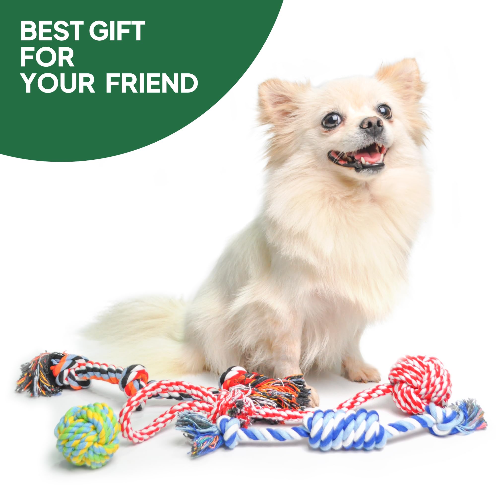 TwoEar dog rope toy 4-pack fetch — fetch-friendly rope bone design for outdoor fun.