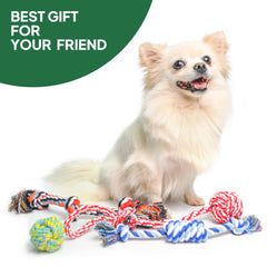 TwoEar dog rope toy 4-pack fetch — fetch-friendly rope bone design for outdoor fun.