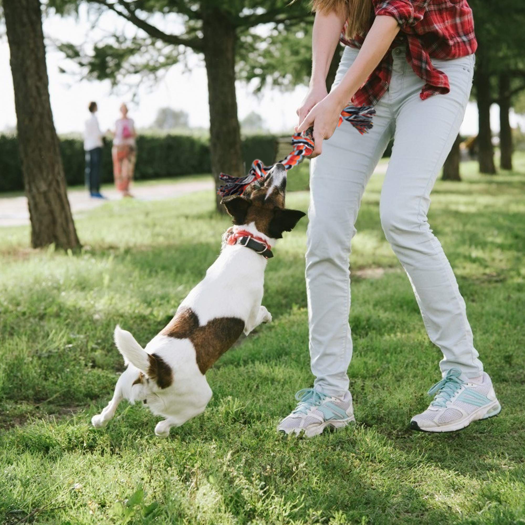 TwoEar dog rope toy 4-pack indoor-outdoor-play — keeps dogs engaged in any setting.