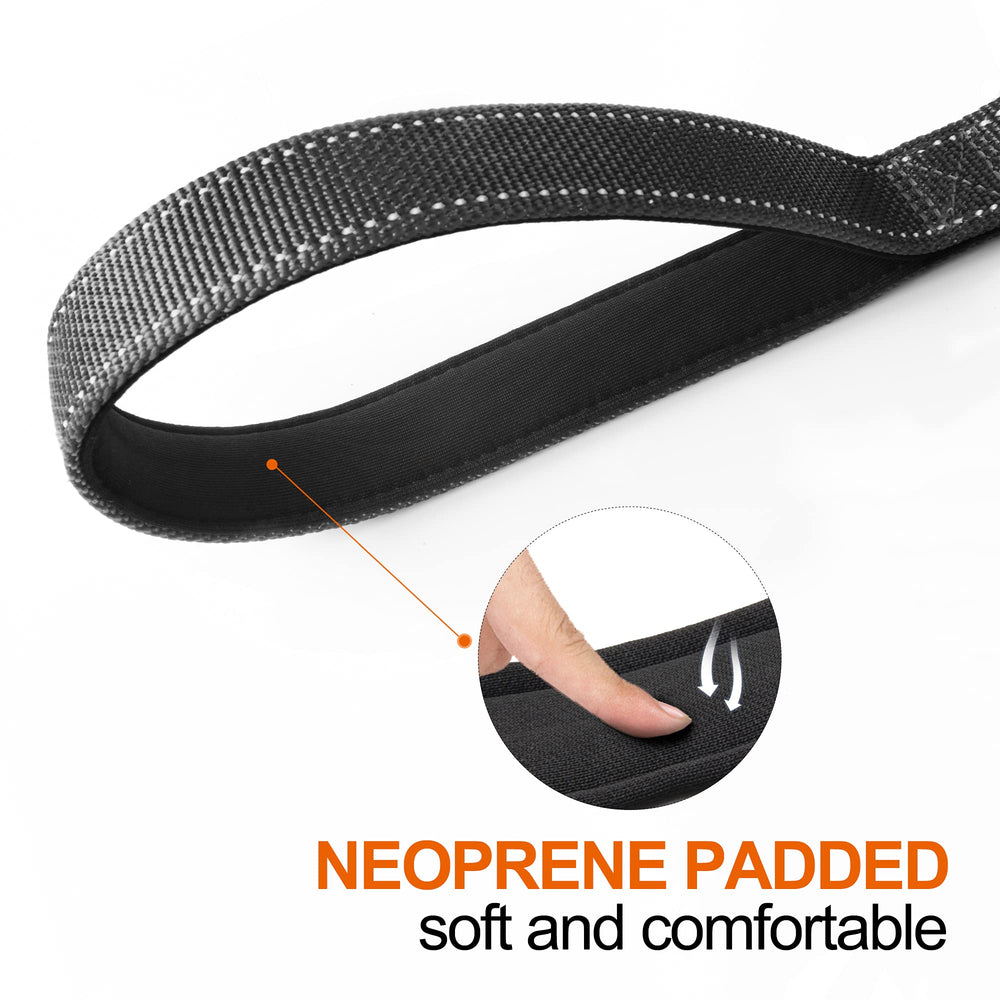 TwoEar reflective leash ensures night visibility for safer evening walks.
