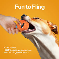TwoEar Squeaky Balls dog plush exterior and durable squeaky ball enable long-lasting play.
