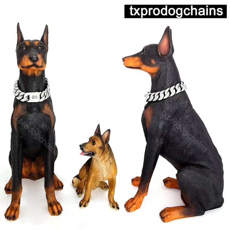 txprodogchains 32mm Cuban link collar on a large dog during outdoor training