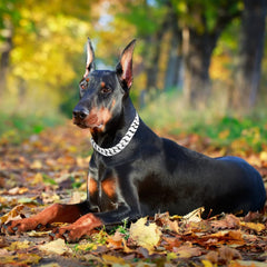 txprodogchains chew-resistant 316L stainless steel finish endures daily wear
