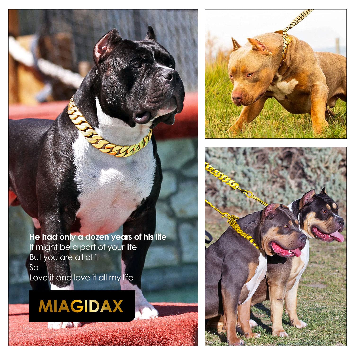 txprodogchains dog-wearer model showcases luxury style and durable construction.
