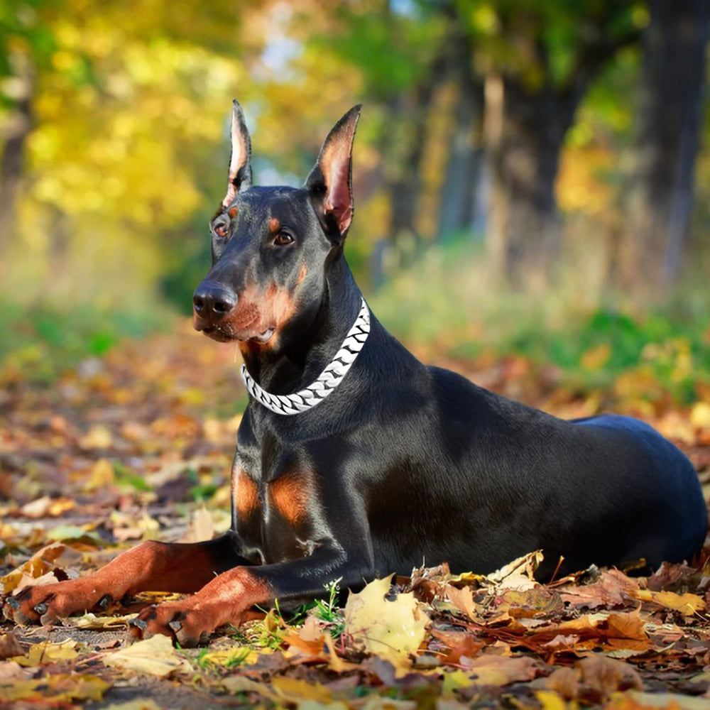 txprodogchains large dog breeds collar demonstrates rugged design for active canines.