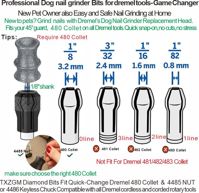 TXZGM dog-paw-care-nail-grinding-closeup emphasizes gentle care for thick nails