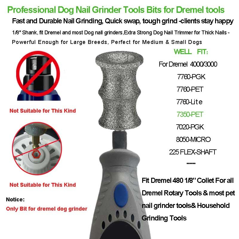 TXZGM diamond bit close-up showcases a durable grinding surface for pet nails.