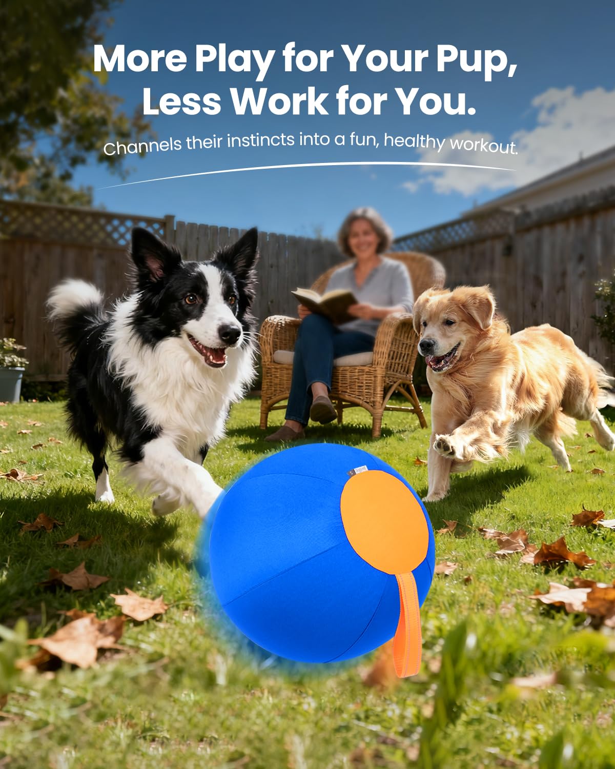 Tychesy Herding Ball outdoor play supports high-energy fetch and chase sessions.
