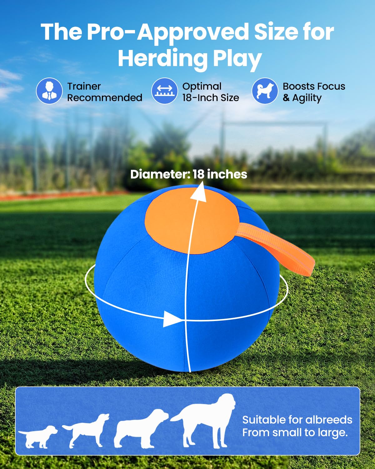 Tychesy Herding Ball Oxford cover is machine-washable for easy cleanup.