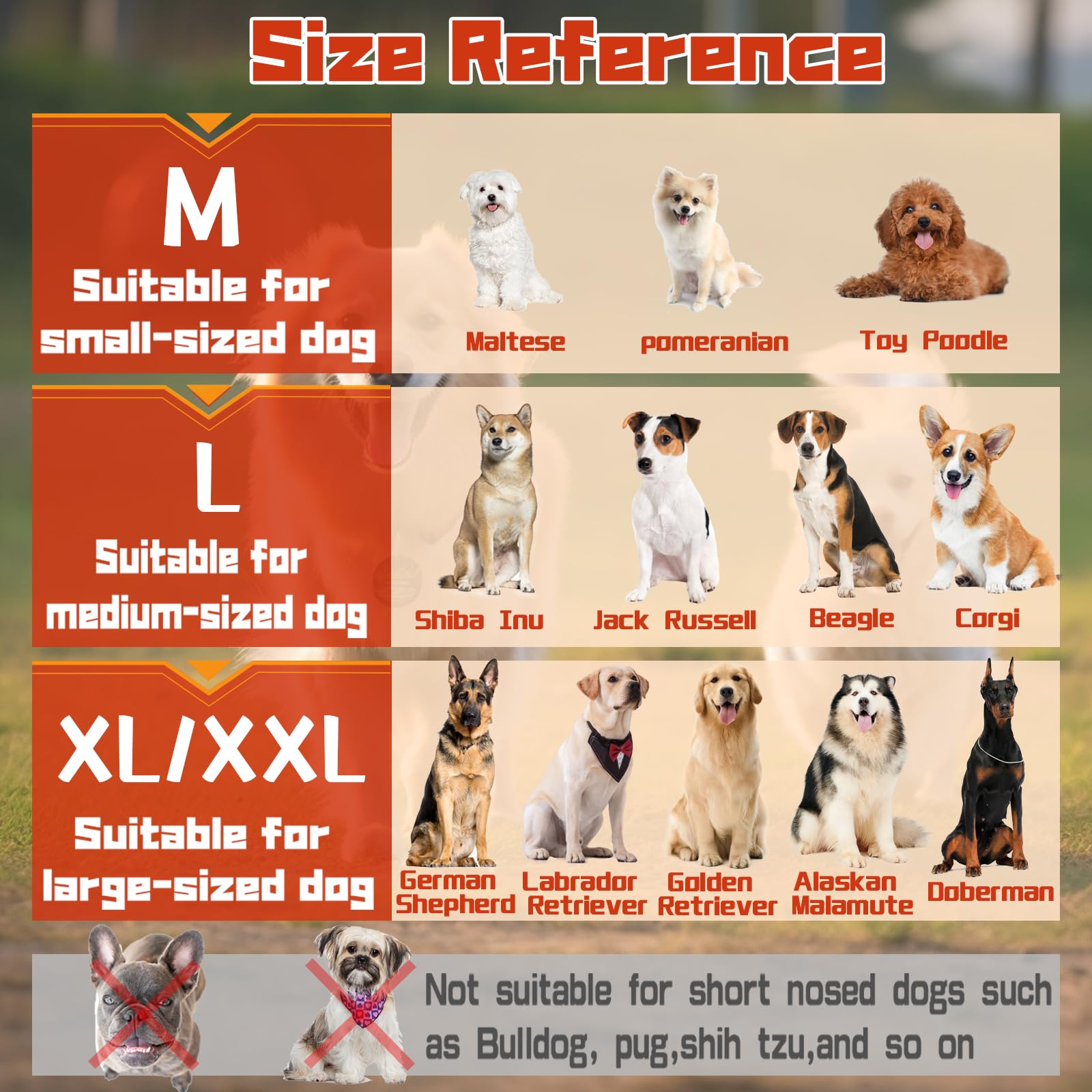 TZBEINN breathable-mesh closeup shows lightweight, airy material for dogs.