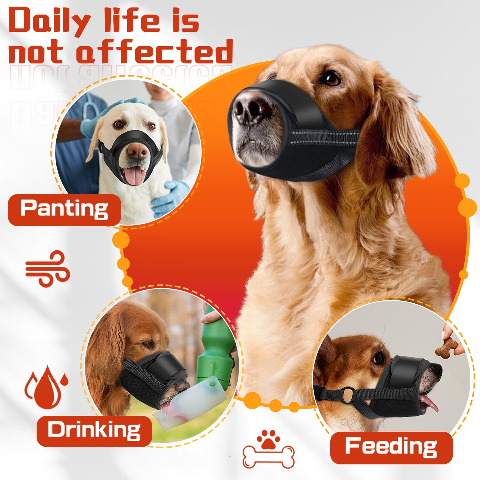 TZBEINN XXL muzzle shown during walk with secure fit and bite prevention.